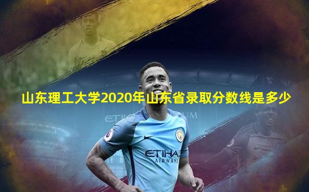 山东理工大学2020年山东省录取分数线是多少