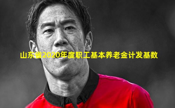 山东省2020年度职工基本养老金计发基数