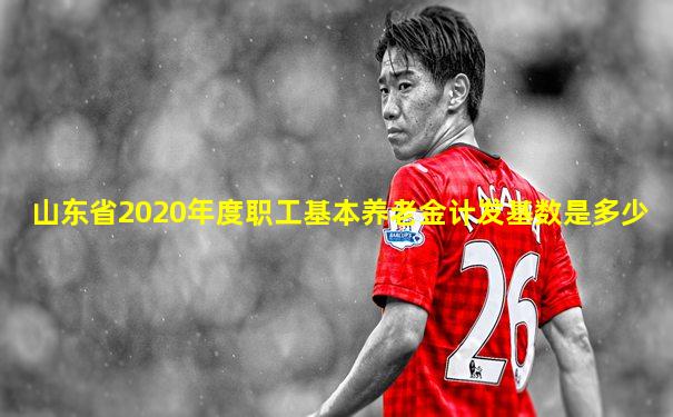 山东省2020年度职工基本养老金计发基数是多少
