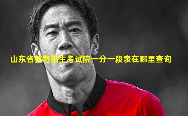 山东省教育招生考试院一分一段表在哪里查询