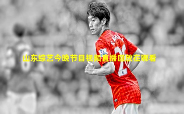 山东综艺今晚节目视频直播回放在哪看