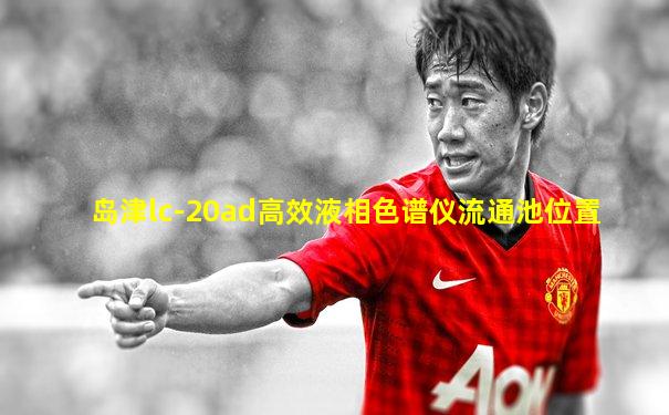 岛津lc-20ad高效液相色谱仪流通池位置