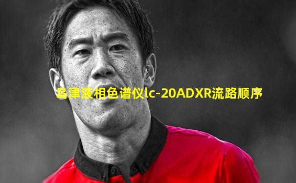 岛津液相色谱仪lc-20ADXR流路顺序