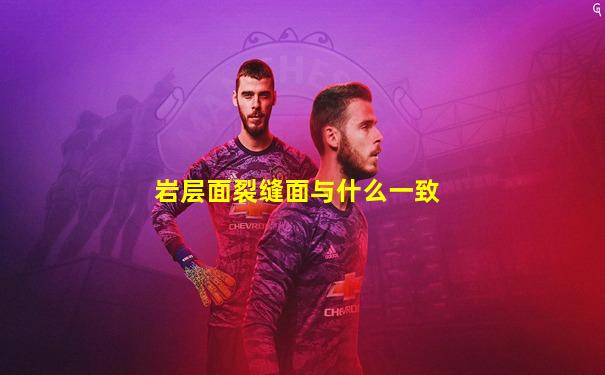 岩层面裂缝面与什么一致