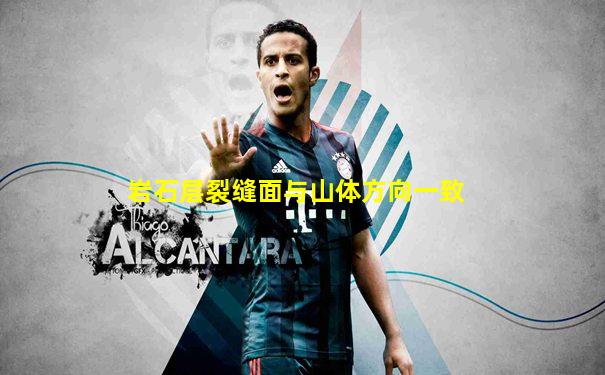 岩石层裂缝面与山体方向一致