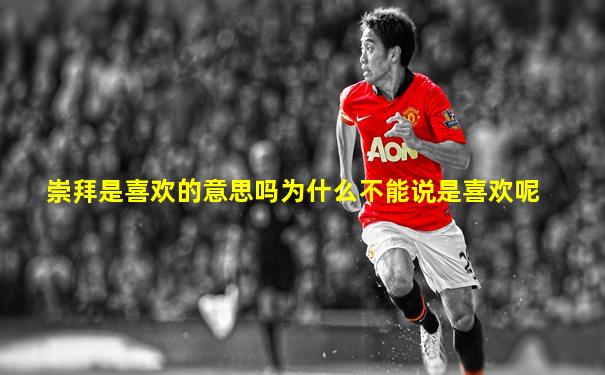 崇拜是喜欢的意思吗为什么不能说是喜欢呢