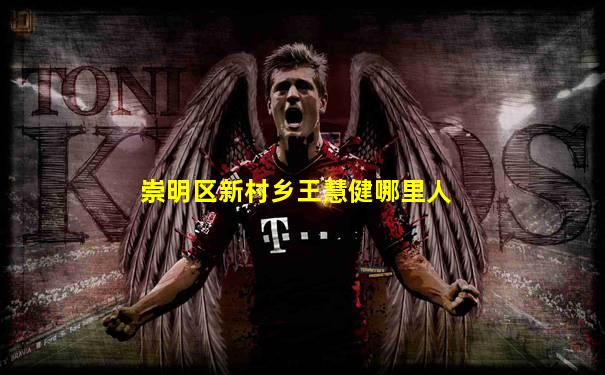 崇明区新村乡王慧健哪里人