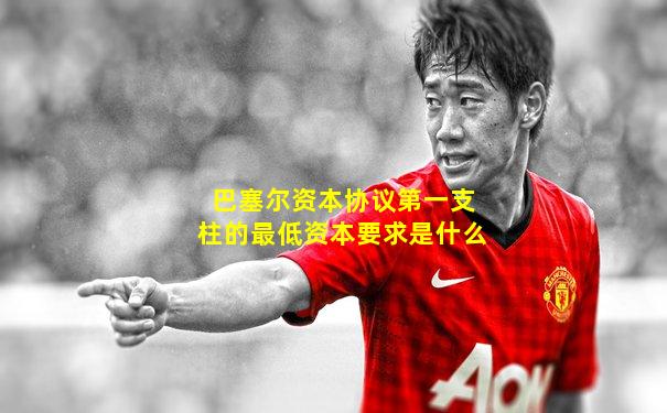 巴塞尔资本协议第一支柱的最低资本要求是什么