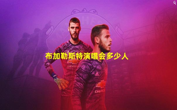 布加勒斯特演唱会多少人