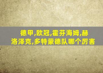 德甲,欧冠,霍芬海姆,赫洛泽克,多特蒙德队哪个厉害