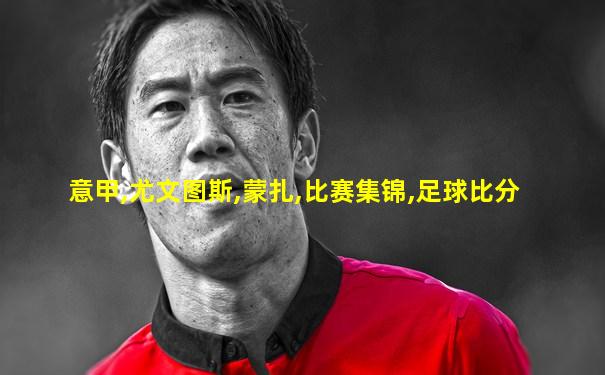 意甲,尤文图斯,蒙扎,比赛集锦,足球比分