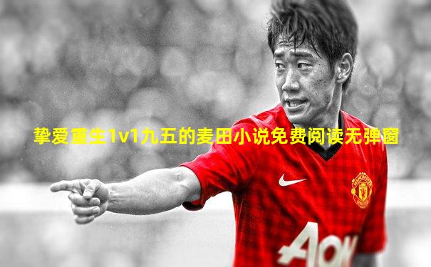 挚爱重生1v1九五的麦田小说免费阅读无弹窗