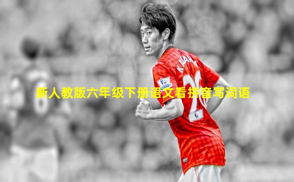 新人教版六年级下册语文看拼音写词语