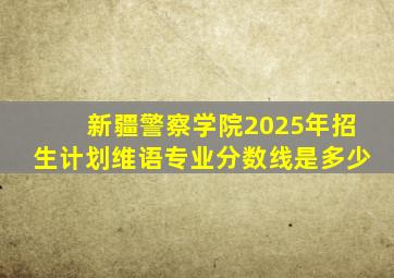 新疆警察学院2025年招生计划维语专业分数线是多少