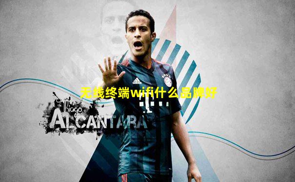 无线终端wifi什么品牌好