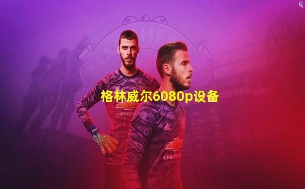 格林威尔6080p设备