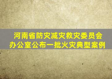 河南省防灾减灾救灾委员会办公室公布一批火灾典型案例