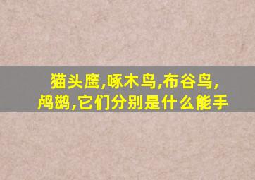 猫头鹰,啄木鸟,布谷鸟,鸬鹚,它们分别是什么能手