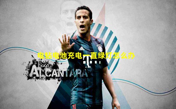 电钻电池充电一直绿灯怎么办