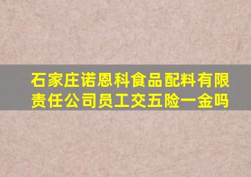 石家庄诺恩科食品配料有限责任公司员工交五险一金吗