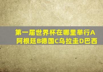 第一届世界杯在哪里举行A阿根廷B德国C乌拉圭D巴西
