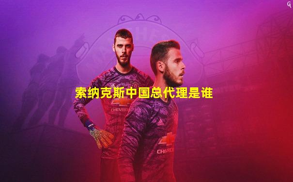 索纳克斯中国总代理是谁