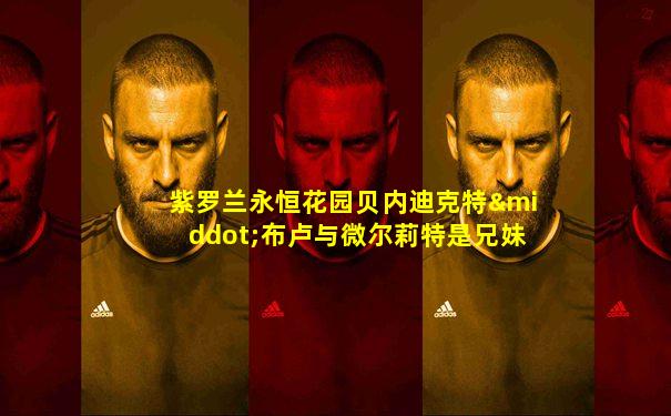 紫罗兰永恒花园贝内迪克特·布卢与微尔莉特是兄妹吗