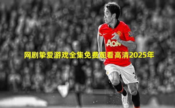 网剧挚爱游戏全集免费观看高清2025年