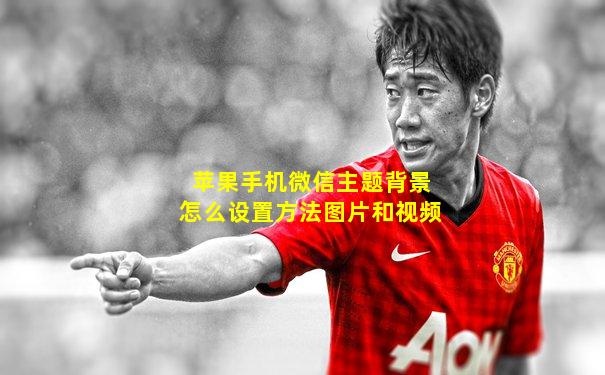 苹果手机微信主题背景怎么设置方法图片和视频