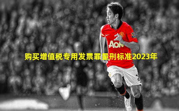购买增值税专用发票罪量刑标准2023年