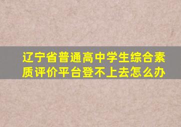 辽宁省普通高中学生综合素质评价平台登不上去怎么办