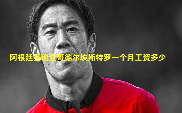 阿根廷圣地亚哥德尔埃斯特罗一个月工资多少