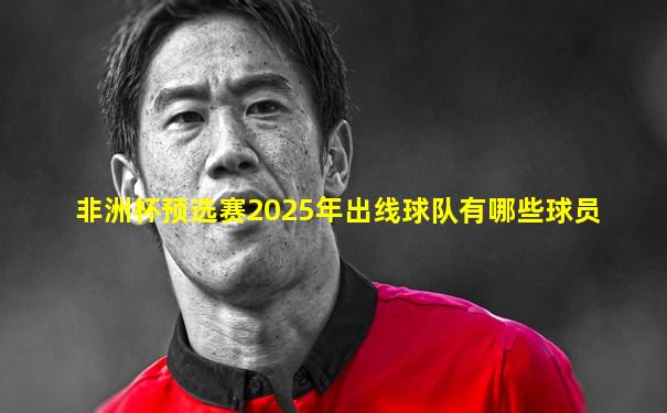 非洲杯预选赛2025年出线球队有哪些球员
