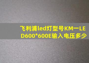 飞利浦led灯型号KM一LED600*600E输入电压多少