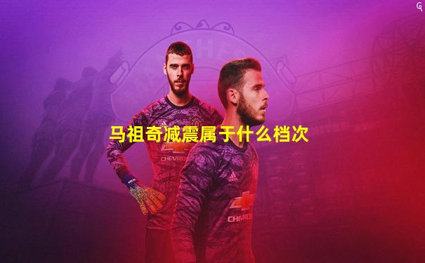 马祖奇减震属于什么档次
