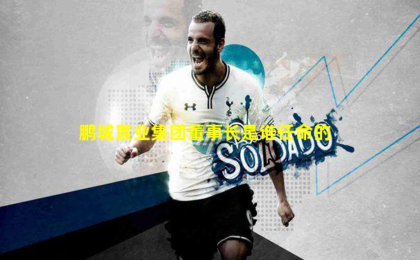 鹏城置业集团董事长是谁任命的